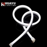 10*22mm silicone Lamp Body Material and LED Light Source custom 12v 24v led neon sign strip light